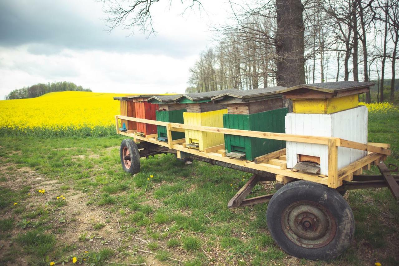 Agroturystyka U Swiatkow Stara Kamienica Exterior foto